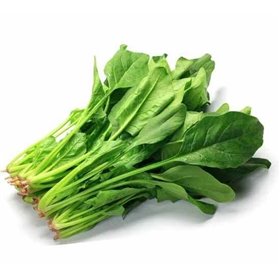 Spinaci Coltivati